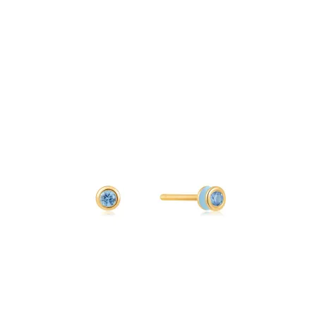 Ladies' Earrings Ania Haie E028-01G-B